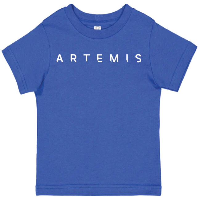 Artemis Program To the Moon and Beyond, NASA logo, Typeface Inter Shirt - Also Youth, Toddler and Infant - Image 15