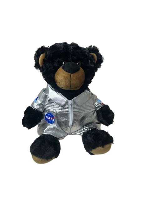 NASA Logo Plush Astronaut Fred and Louie Bears with USA Flag - Image 5